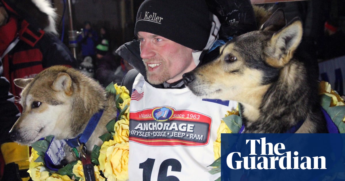 Iditarod Dog Race musher punished for failing to properly gut moose he killed | Iditarod