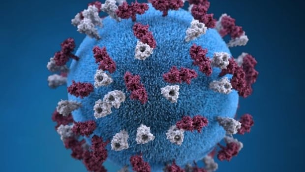 Montreal Public Health says 14 cases of measles have led to thousands of contacts