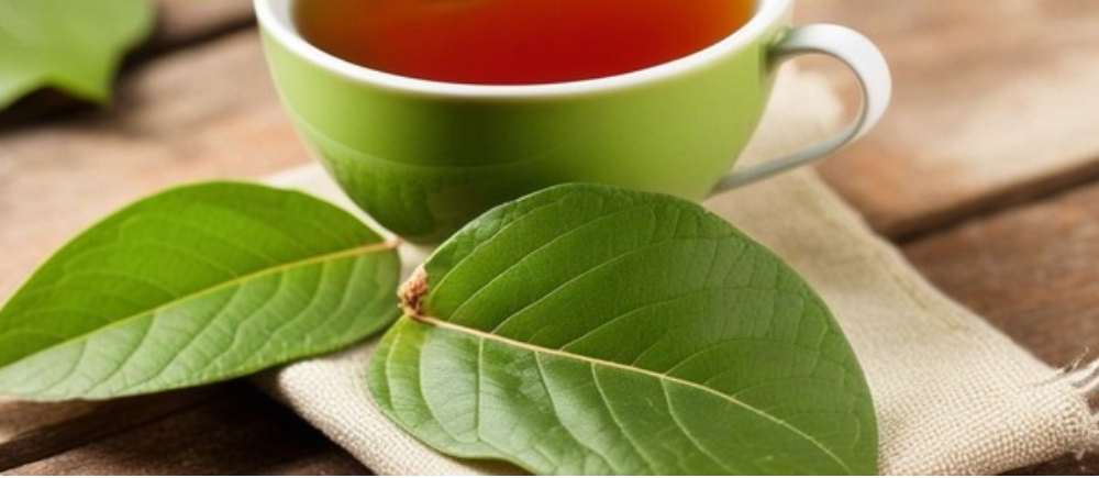 Soak Guava Leaves In A Cup Of Hot Water And Drink To Cure These Diseases