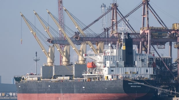 israel palestinians shipping yemen stills