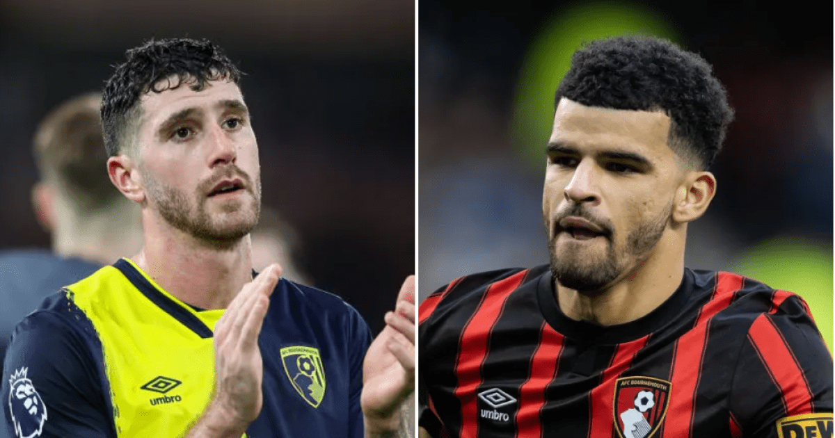 Dominic Solanke and Marcos Senesi injury latest: Bournemouth issue update | Football
