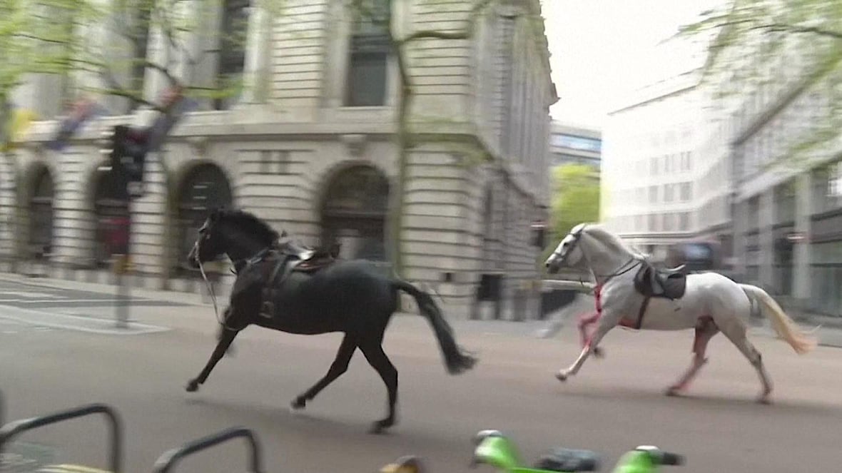 Horses — without riders — bolt through London streets
