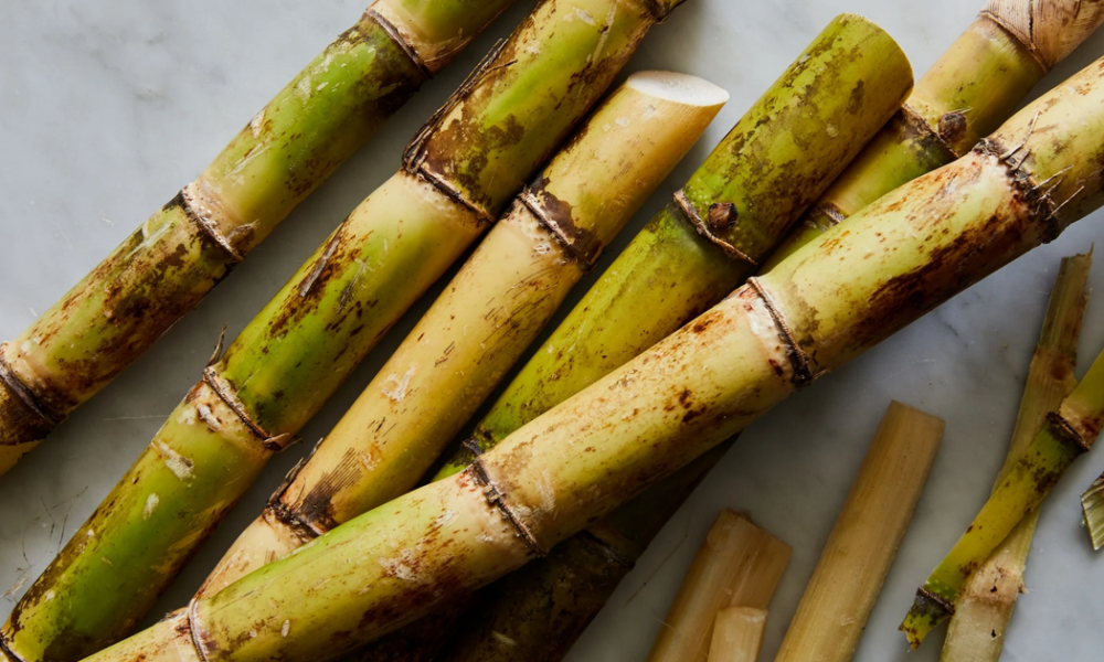 Can Intake Of Sugarcane Increase Blood Sugar Levels And Worsen Diabetes