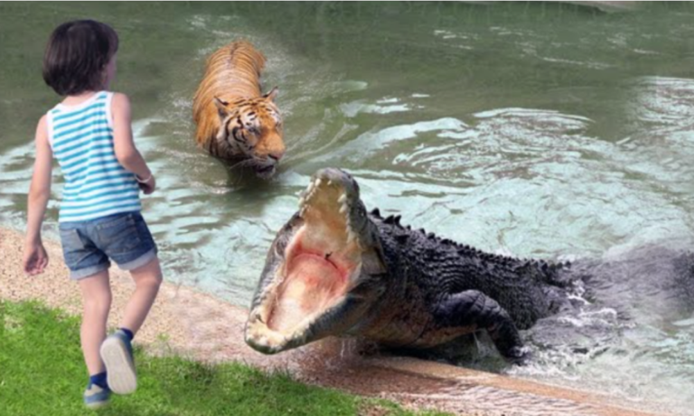 Crocodile grabbed a girl and dragged her into the water. No one could imagine what would happen next