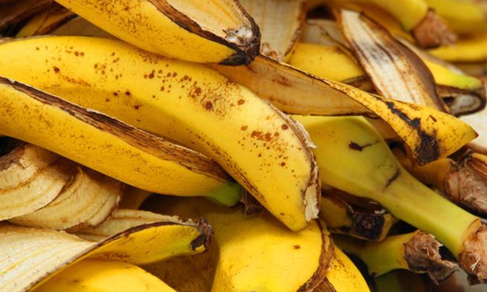Did You Know Banana Peels Are Useful? Don’t Waste Them.