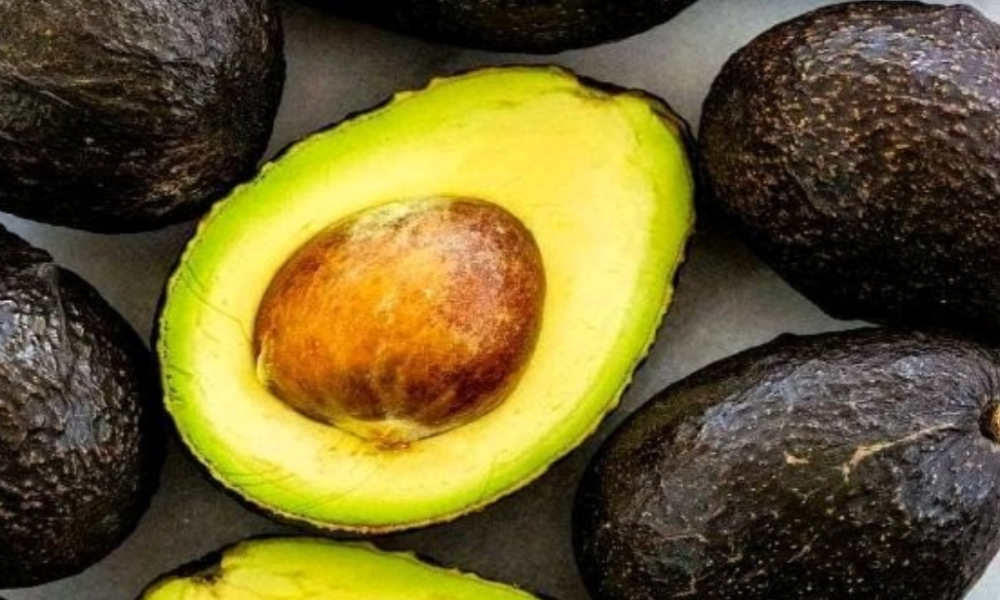 Drink A Cup Of Avocado Seed Tea Daily To Treat These Dangerous Disease