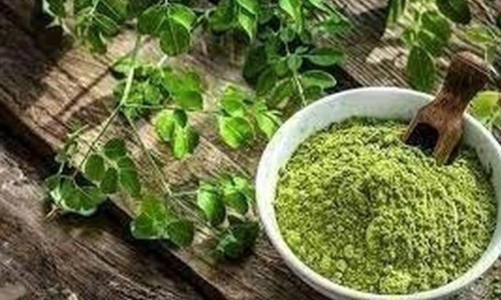 Eat Moringa Every day To Get These Benefits