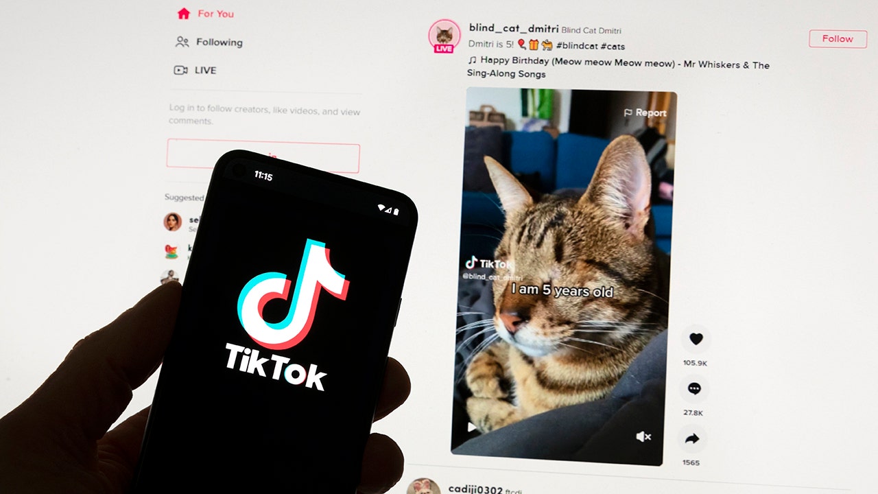 European Union reviewing details from TikTok on the video platform's new app that pays users to watch content