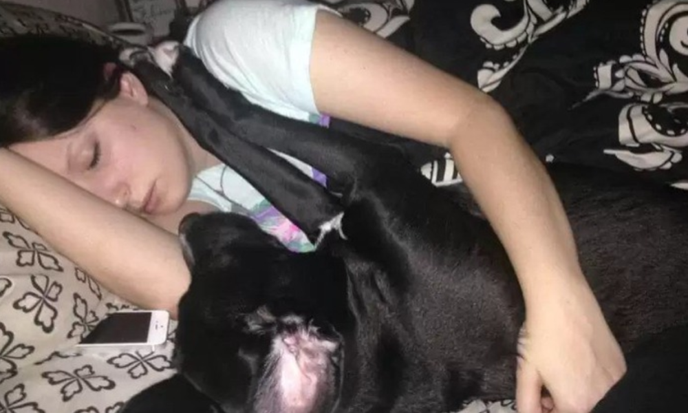 Every Night, A Woman Slept With Her Dog. After 3 Months, She Found Something Horrifying