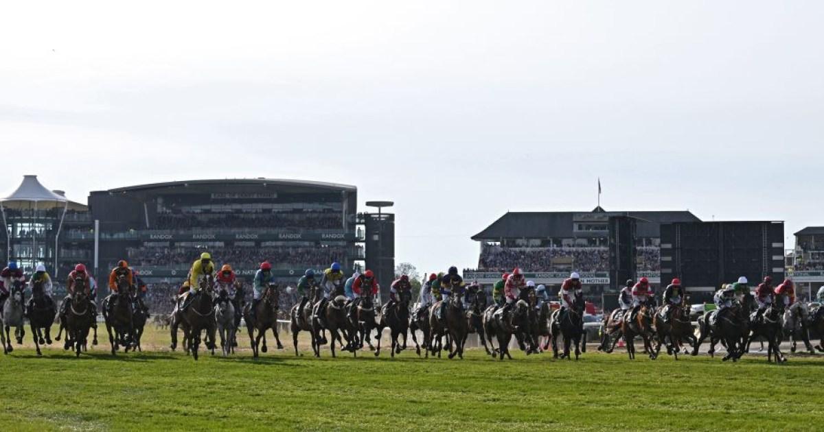 Limerick Lace can cut the cloth by winning the Grand National
