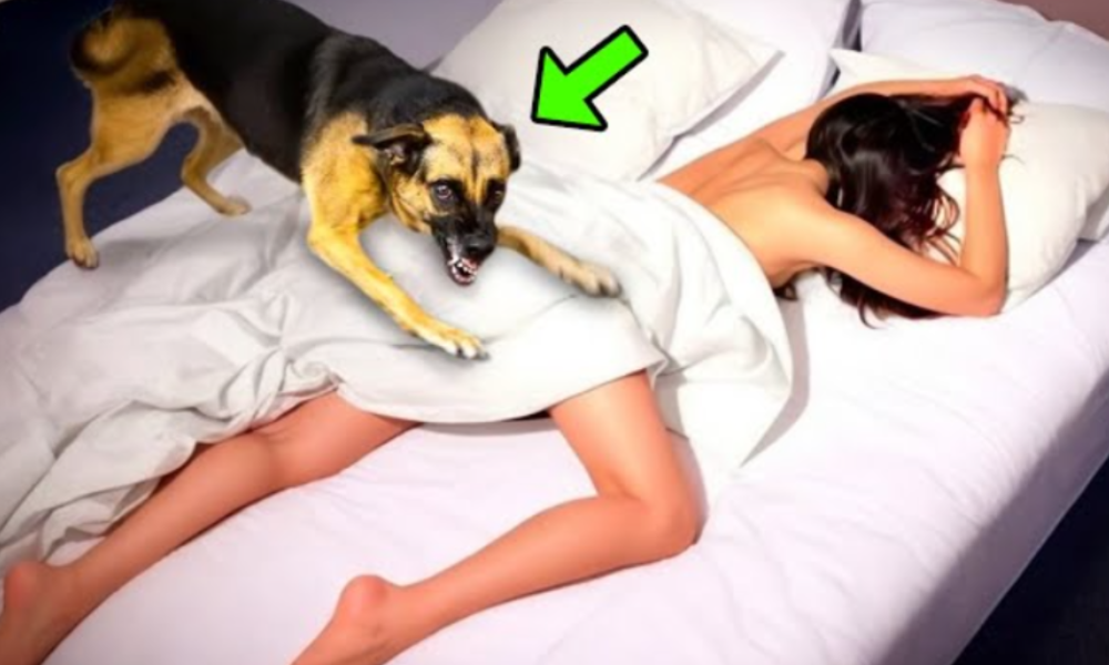 Her Dog Sneaked Into Her Bed Every Night, Months Later She Discovers Something Terrifying