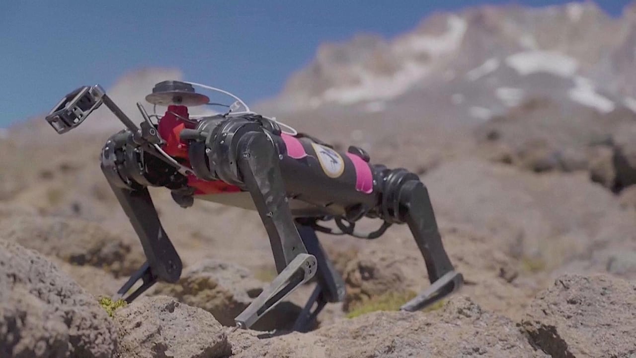 Meet Spirit, a robot being trained to walk on the moon