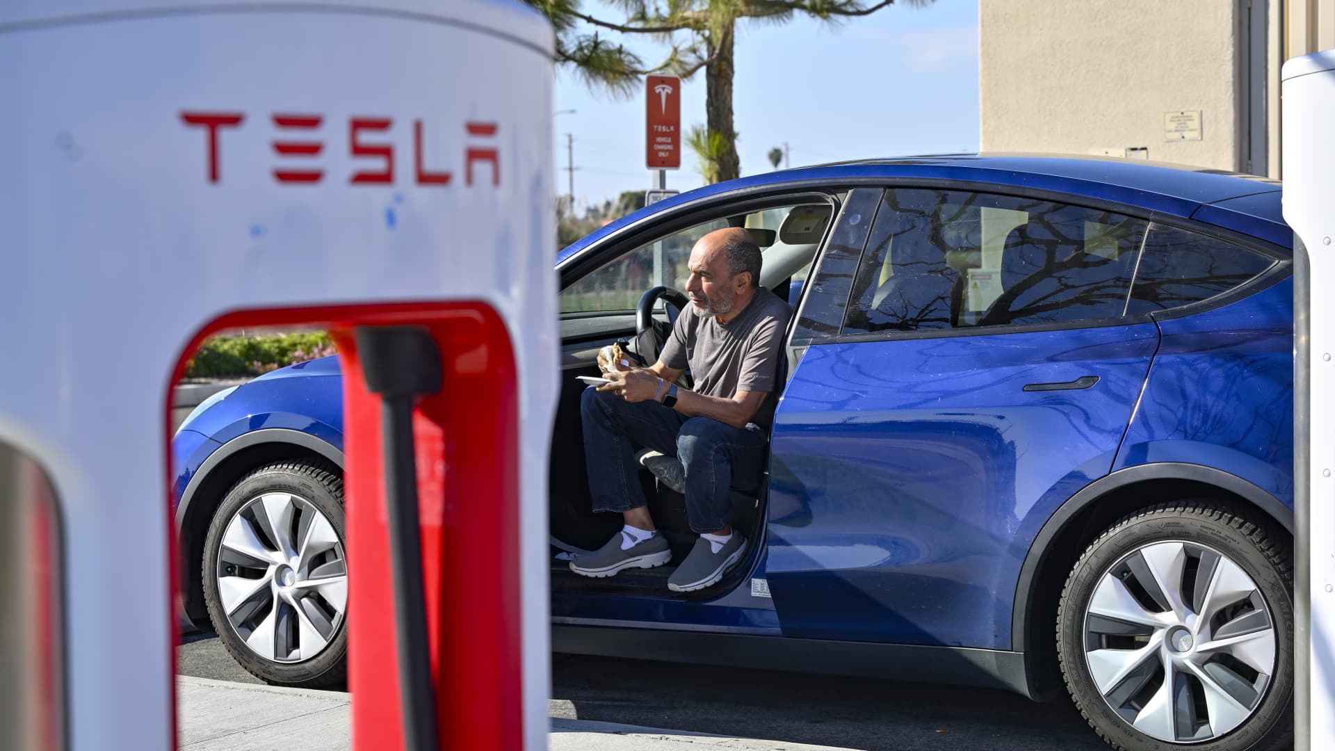 Tesla scraps low-cost car plans amid fierce Chinese EV competition: Reuters