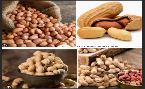 The Disadvantages Of Groundnuts in Men That No One Will Ever Tell You