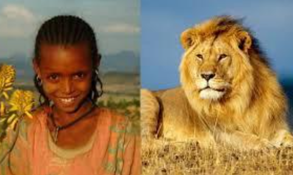 True Life Story Of How A Little Girl Was Saved By Lions From Kidnappers