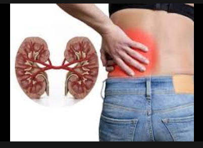 Why Must Pay Attention To Your Kidney If You Begin To Notice These Signs In Your Body