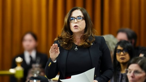 Federal addictions minister says B.C public decriminalization reversal under review