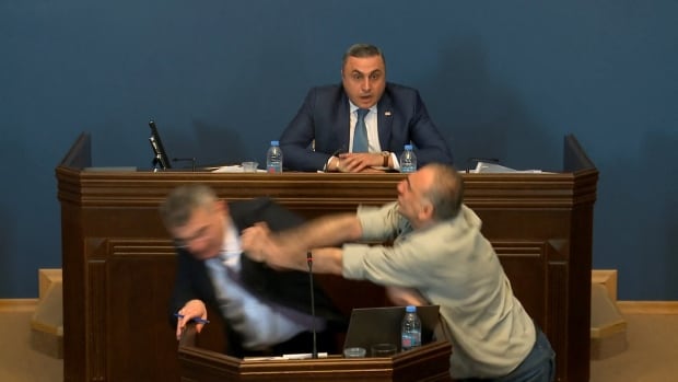 Georgia politicians brawl in parliament over contentious 'foreign agents' bill