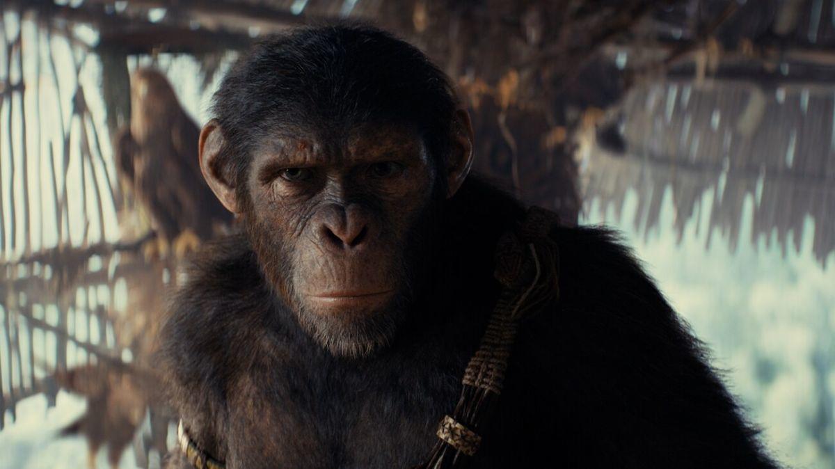 Kingdom Of The Planet Of The Apes Rating Confirmed