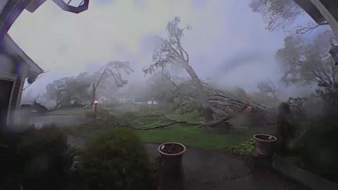 Powerful tornado rips down trees in Michigan