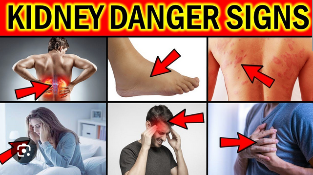 8 Warning Signs Your Body Will Give You If Your Kidneys Are In Danger