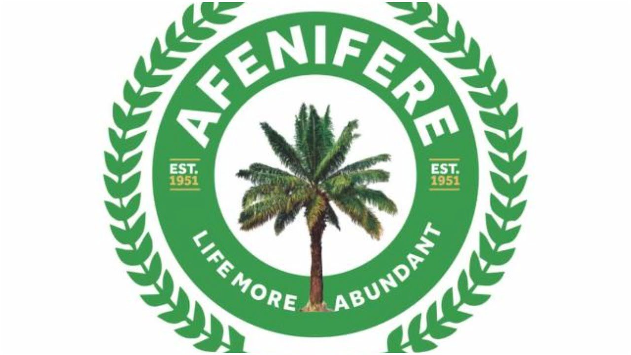 Stop economic mismanagement, Afenifere tells FG
