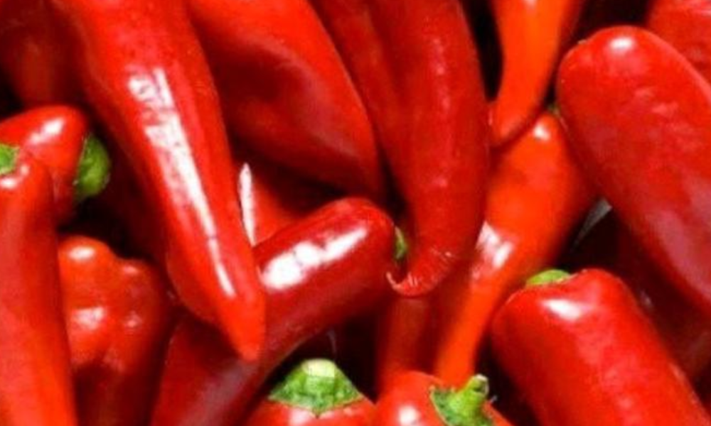 Diseases Cured By Pilipili That No One Will Ever Tell You About (Chili Pepper)