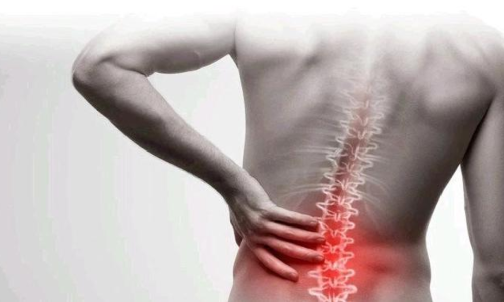 Fruits You Should Consume Frequently To Reduce Back Pain