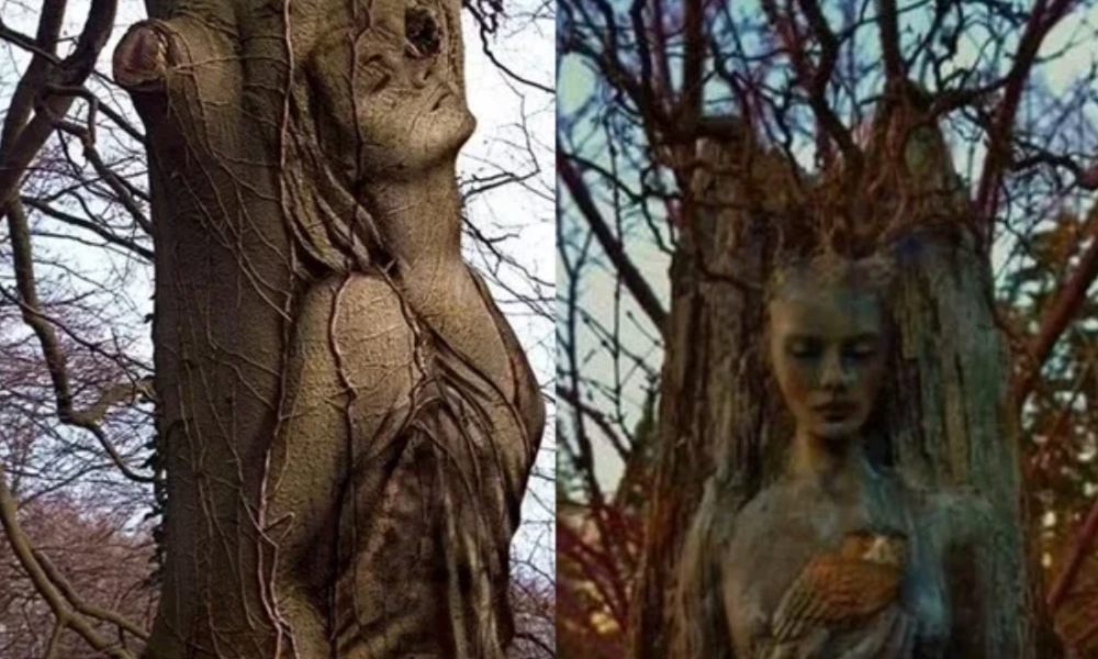 God Is Great, See Natural Strange Trees That Look Like Human Being (Photos)