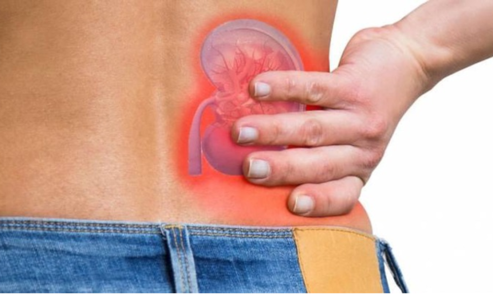 How to keep your kidney healthy: 10 simple rules to prevent kidney problems