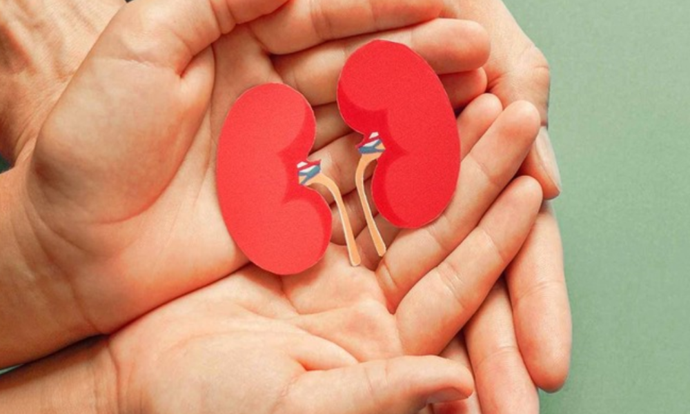 How to protect your kidneys from the modern lazy lifestyle