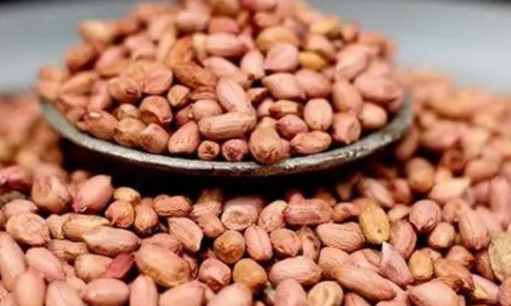 Men: Here is What Happens When You Take Groundnuts Daily