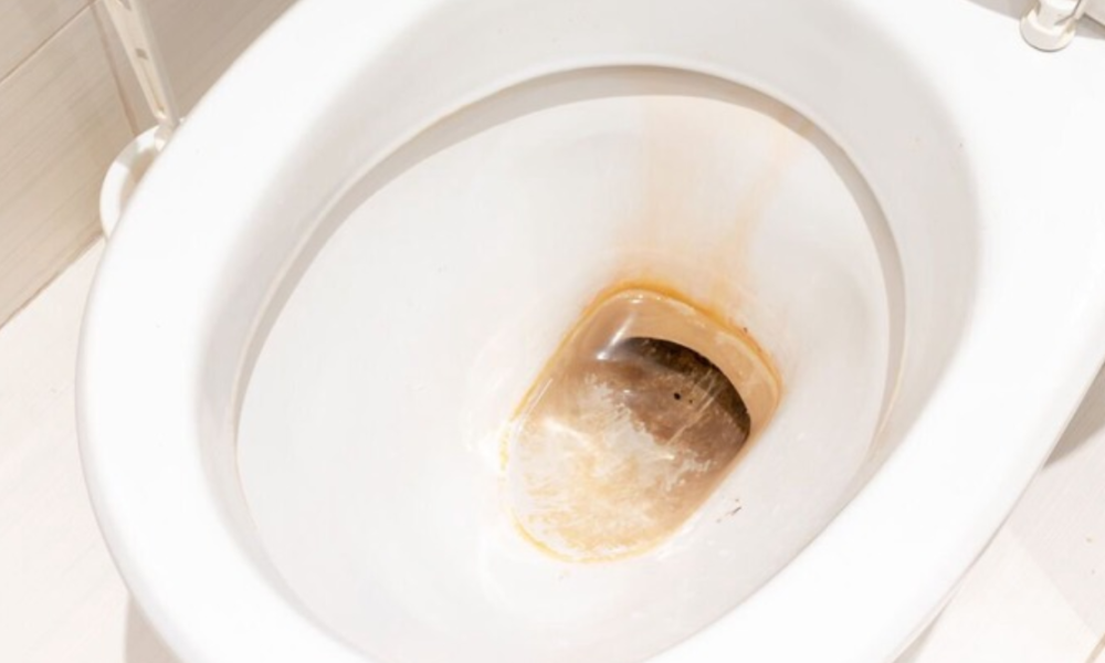 Remove toilet limescale in 15 minutes with 1 household item – not white vinegar or bleach