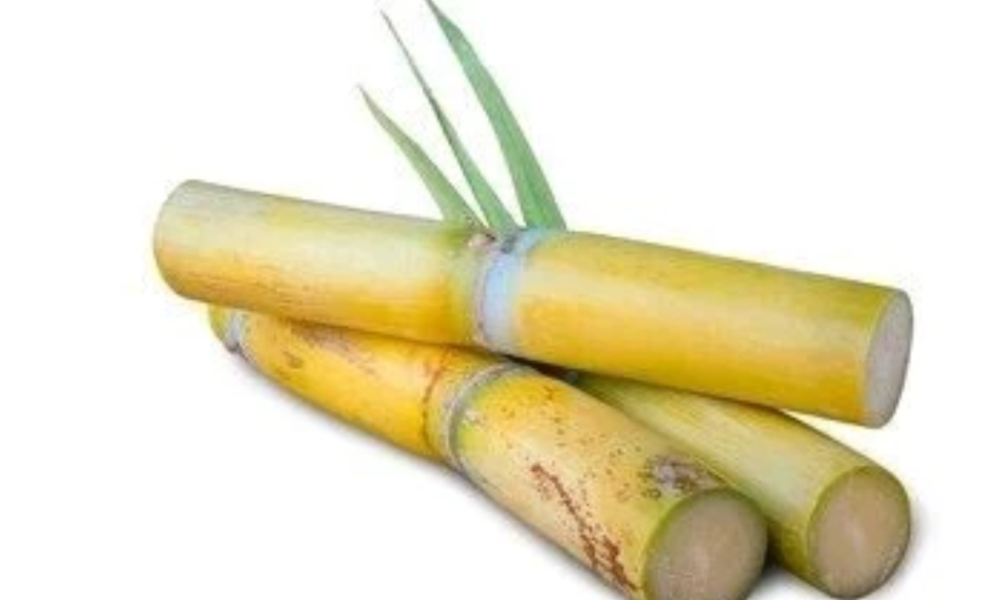 Say Goodbye To These Diseases By Eating Sugarcane Regularly