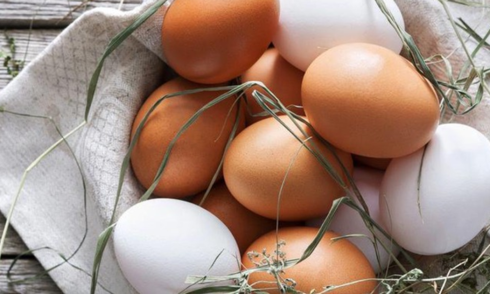The difference between white and brown eggs - Which is better?
