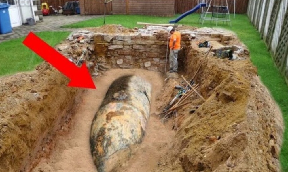 This Man Dug a Hole in His Backyard He Was Not Ready For What He Discovered There