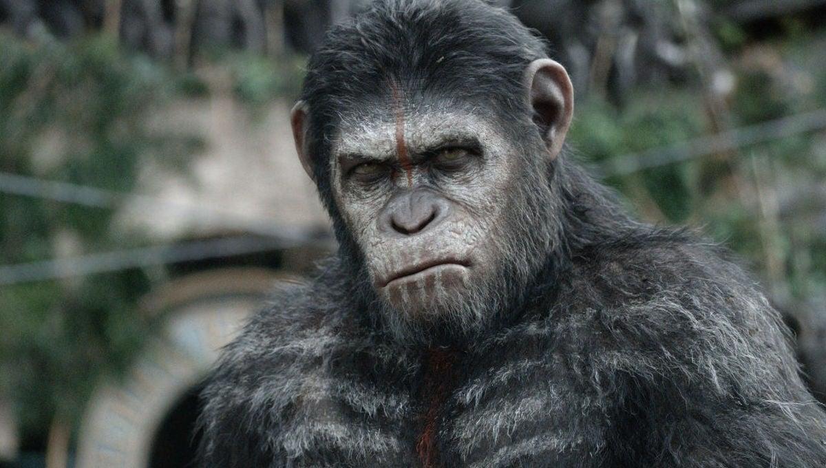 Kingdom of the Planet of the Apes Star Confirms Major Connection to Caesar Trilogy