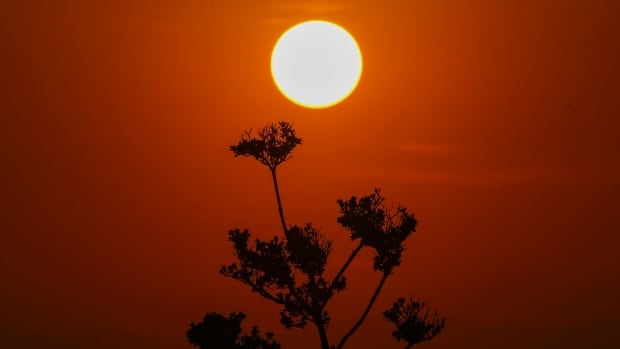 Mexico is about to experience its 'highest temperatures ever recorded' as death toll climbs