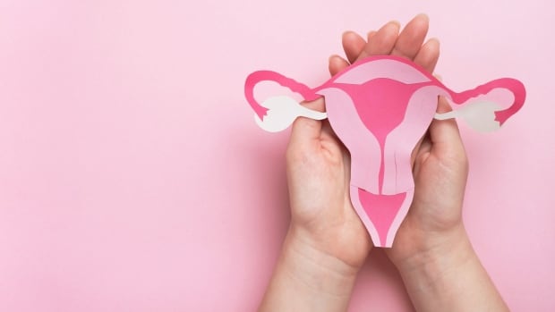 Alberta government aims to address gaps in women’s health care with $26M injection
