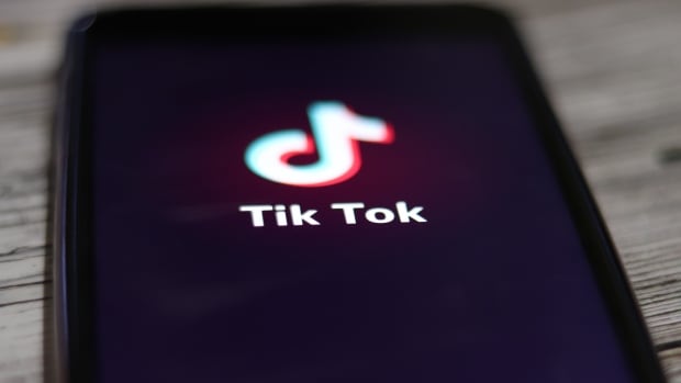 TikTok is suing the U.S. over ‘obviously unconstitutional’ law that would ban it
