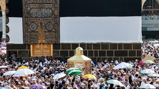 Hundreds are believed to have died at this year’s Hajj in scorching Saudi heat