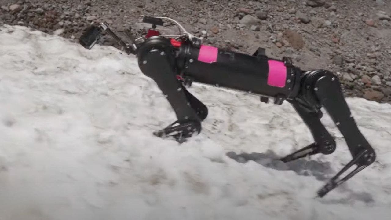 Crazy-strong robotic dogs gear up for moon mission