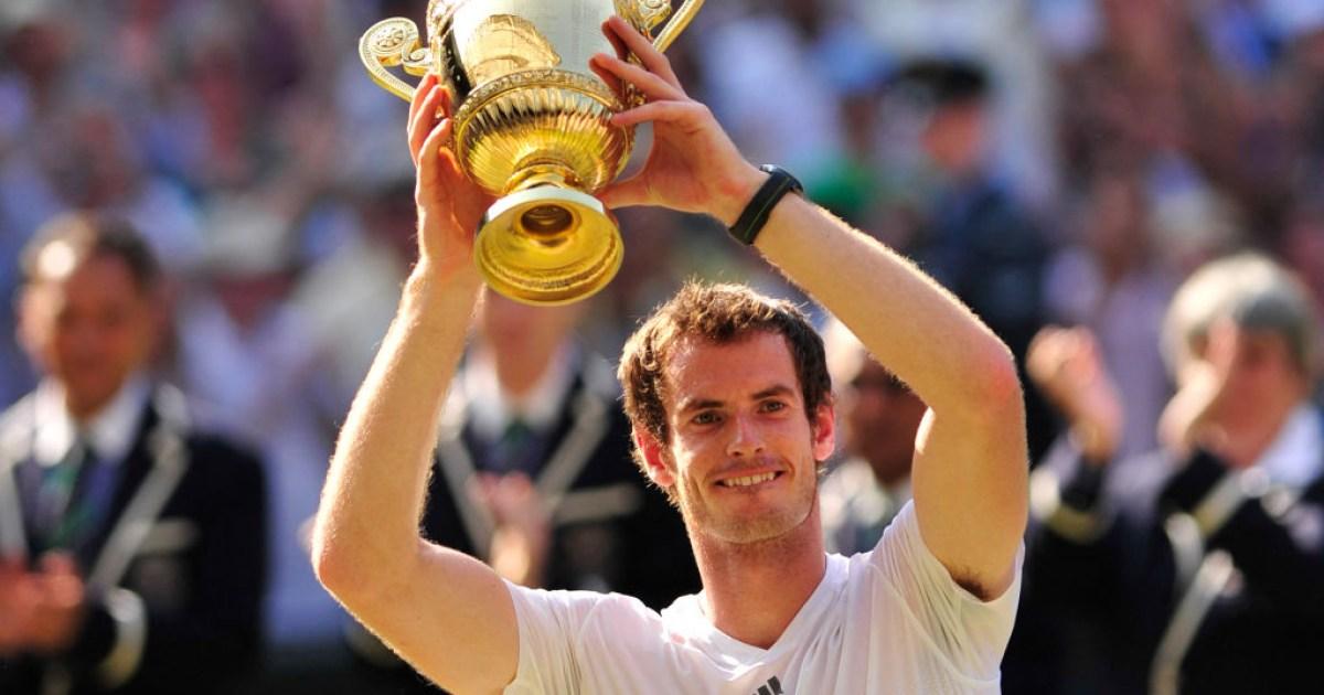 When did Andy Murray win Wimbledon and what is his recent record?
