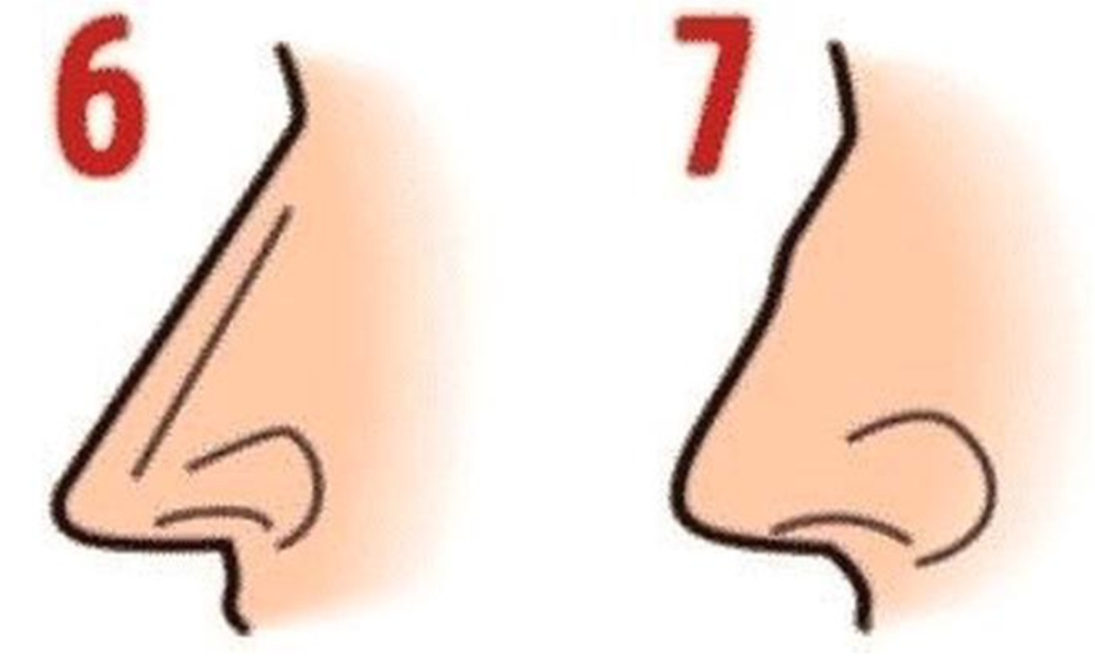 How does your nose shape reflect your personality?