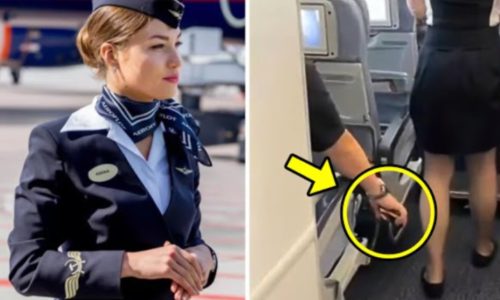 Rich Kid Disrespects Flight Attendant. When Dad Sees Her, He Gives Her This Unexpected Item