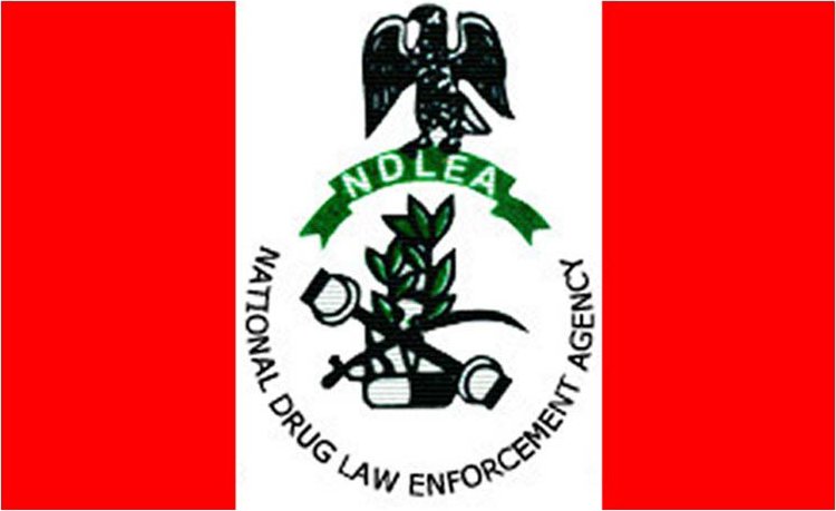 Over 207,976kg of drugs seized at seaports in 13months – NDLEA