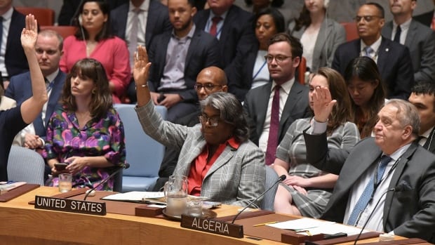 UN Security Council endorses U.S.-backed resolution for Gaza ceasefire