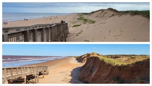 Dunes at P.E.I. National Park showing signs of recovery from Fiona's wrath