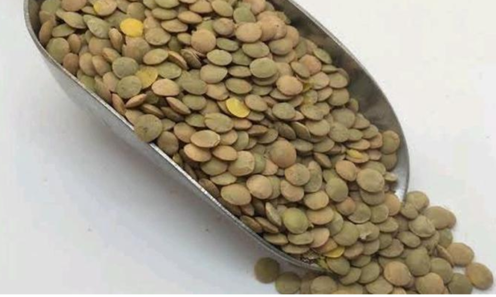 Green Lentils: The Tiny Legume Packed with Big Health Benefits