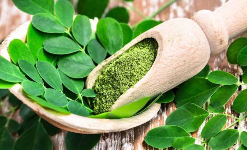 Here Are Some Medical Benefits Of Moringa To Your Body